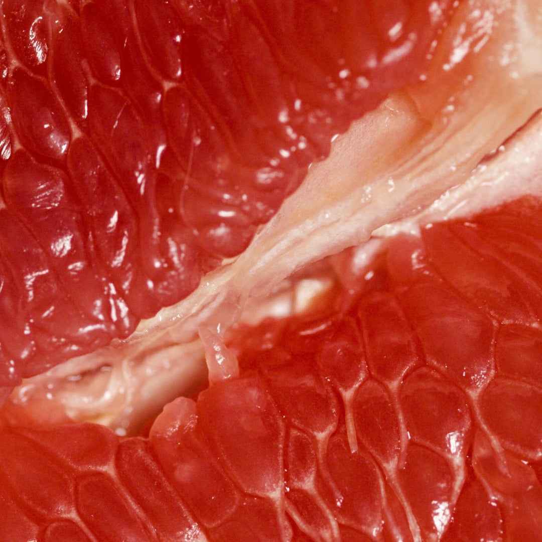 Paradiso - Eau De Parfum, 2ml Sample